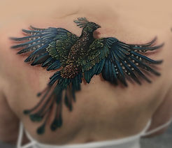 Tattoo of a colorful bird on a back with detailed feathers.