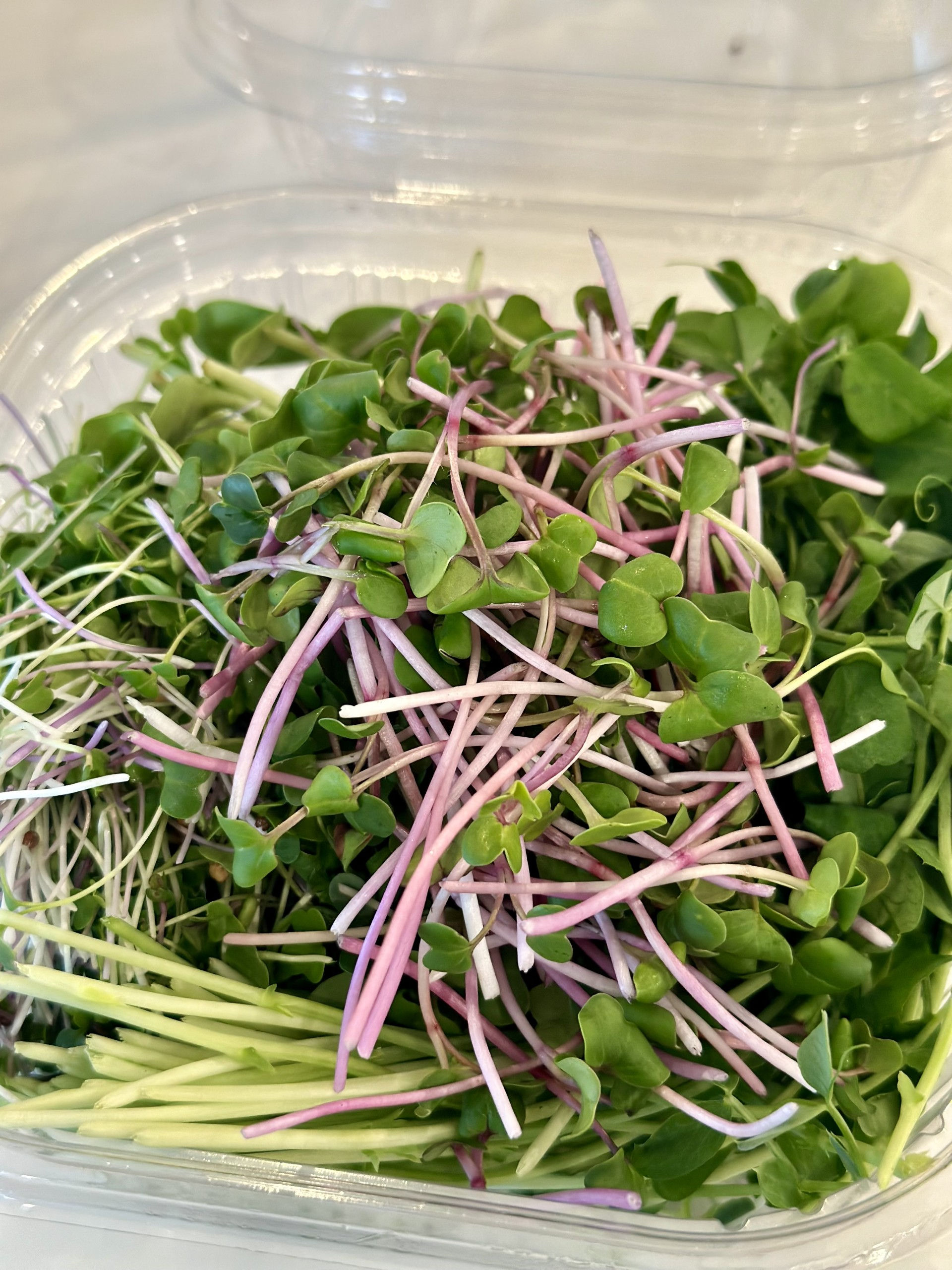 November Microgreen Subscription, 85g fresh microgreens every week