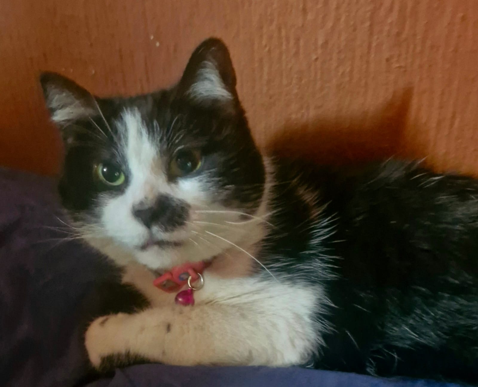 Delilah