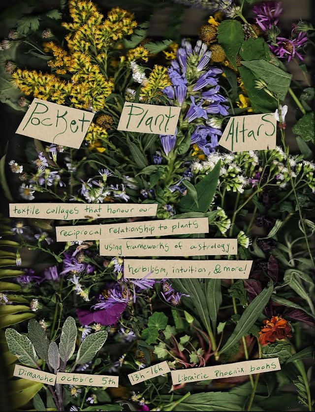 {{Postponed}} Pocket Plant Altars / Autels de poche pour plantes