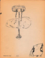 Ostrich 02.jpeg