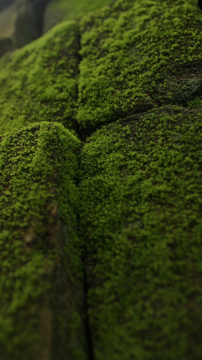 natura institut-clinique ostéopathique côte bleue-ostéopathe-alexandre-fernandez-le-rove-m