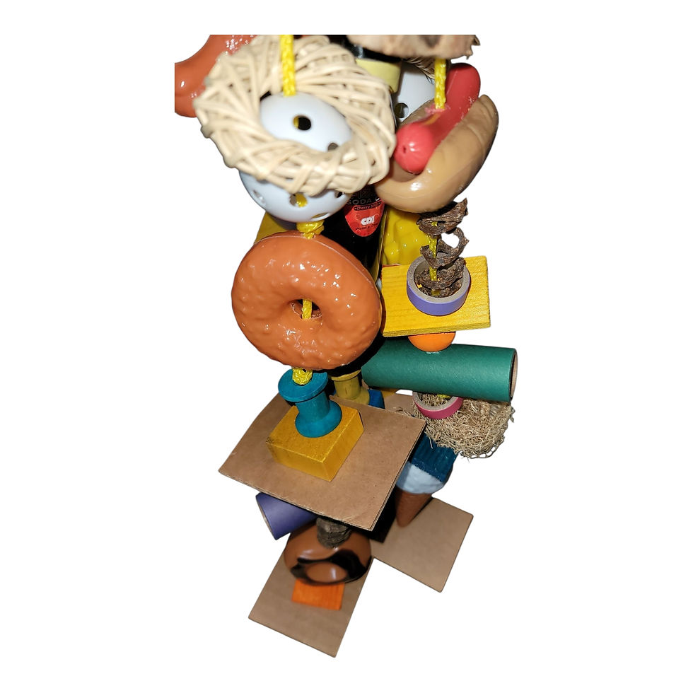 Thumbnail: Junk Food Birdy