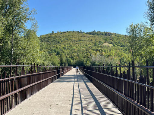 NEWS - Di nuovo aperto il ponte sul Reno!
