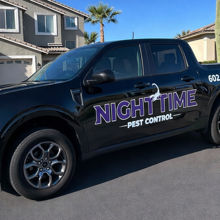 Best Scorpion Control Guarantee for Arizona Homeowners: Our 100% Money-Back Promise