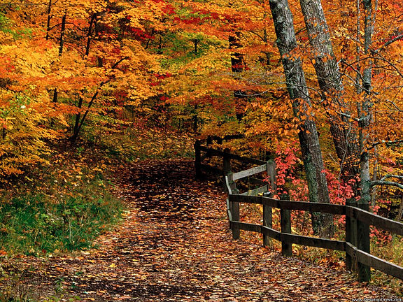 mccormick-creek-state-park_indiana.jpeg