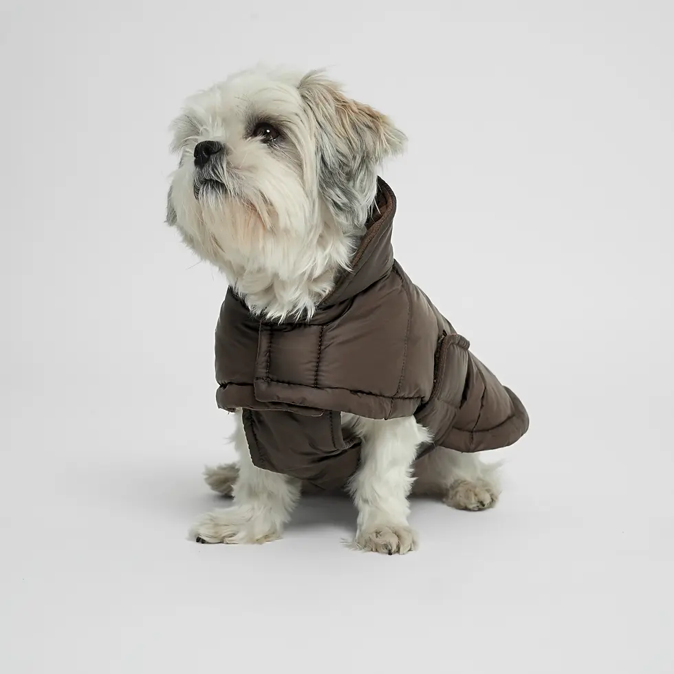 Miniaturbild: Hundedaunenmantel Nora espresso