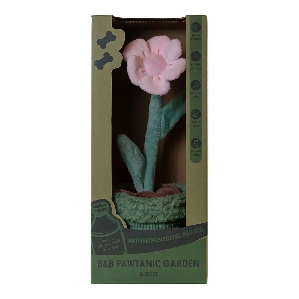 Miniaturbild: Schnüffelpflanze "Blume"