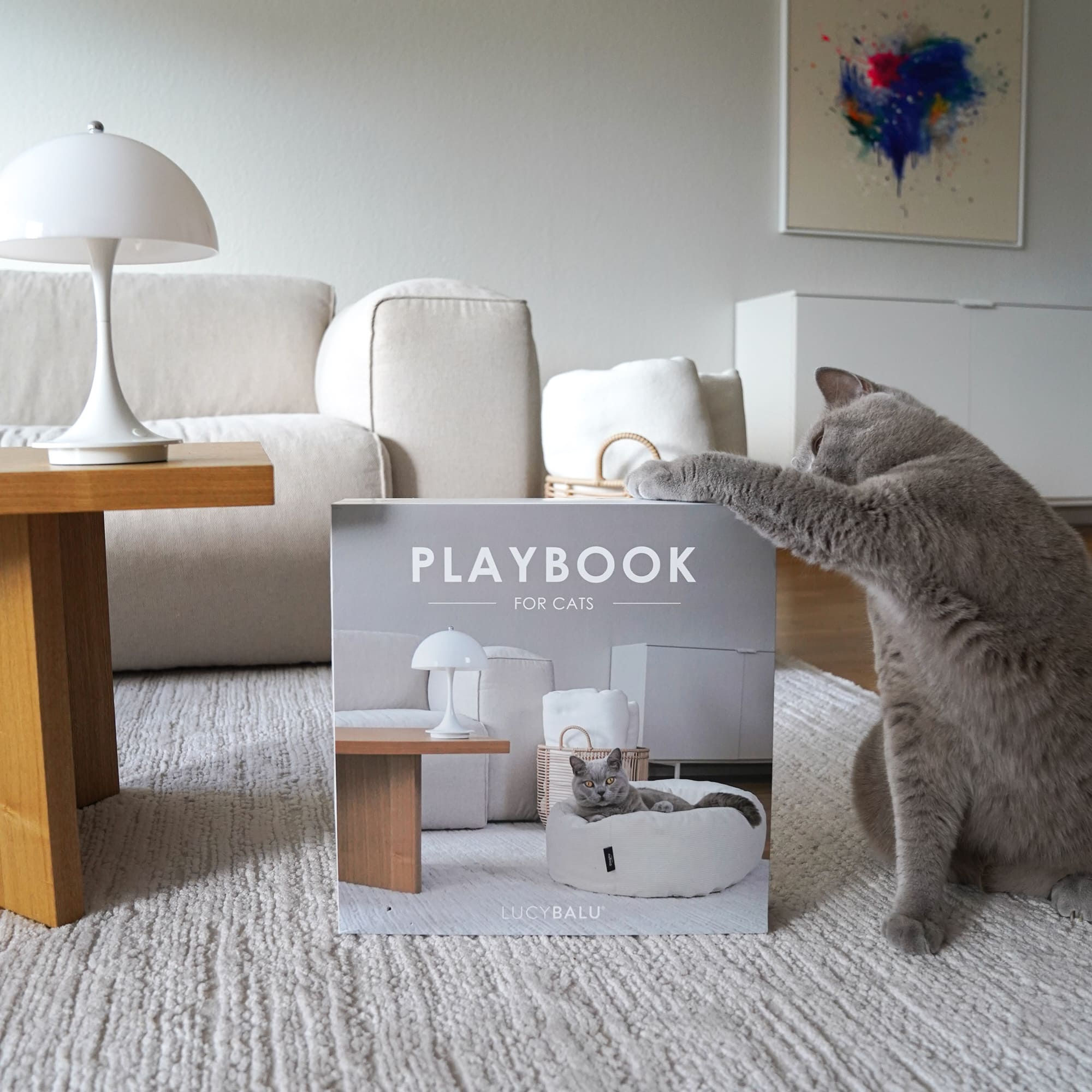 Beschäftigungsspielzeug "Playbook"