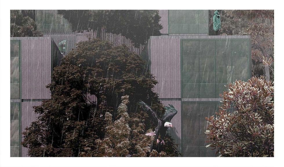 Artistical view