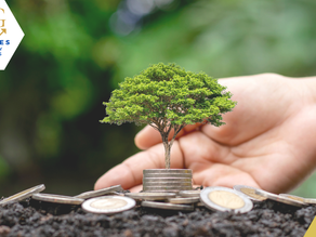 EL PODER DE INTERÉS COMPUESTO: HAZ CRECER TU DINERO SIN ESFUERZO