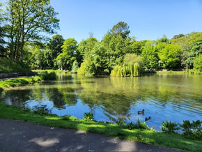 Finding Your Joy - Life's precious moments