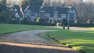 A festive trip to Speke Hall