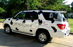 Vehicle Wrap