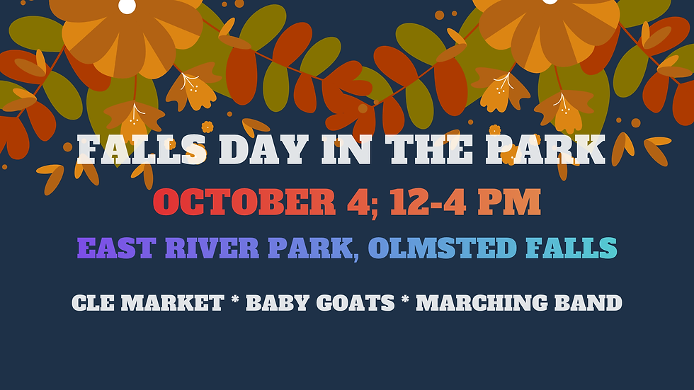 Falls Day in the Park