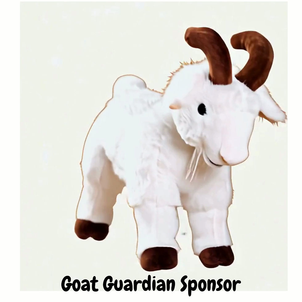 Thumbnail: Goat Guardian Sponsor - Baby Goat #3