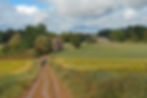 camino-de-santiago-6653443_1280.jpg