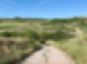 Screenshot 2026-06-13 at 10.27.22 PM.png