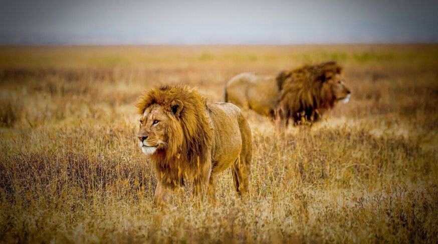 Screenshot 2025-09-01 at 10.39.11 AM.jpeg