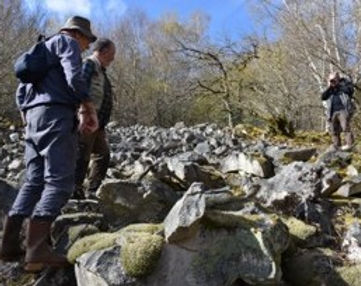 Botanique, entomologie et histoire géologique en robes printanières …