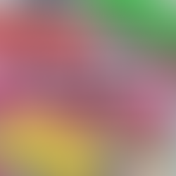 Sunday Creative Motivation