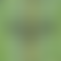 Saturday Creative Motivation