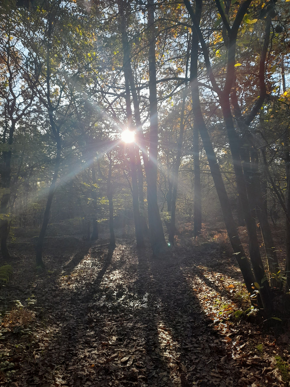 Blog by Charlie Irving