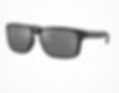 Oakley Holbrook