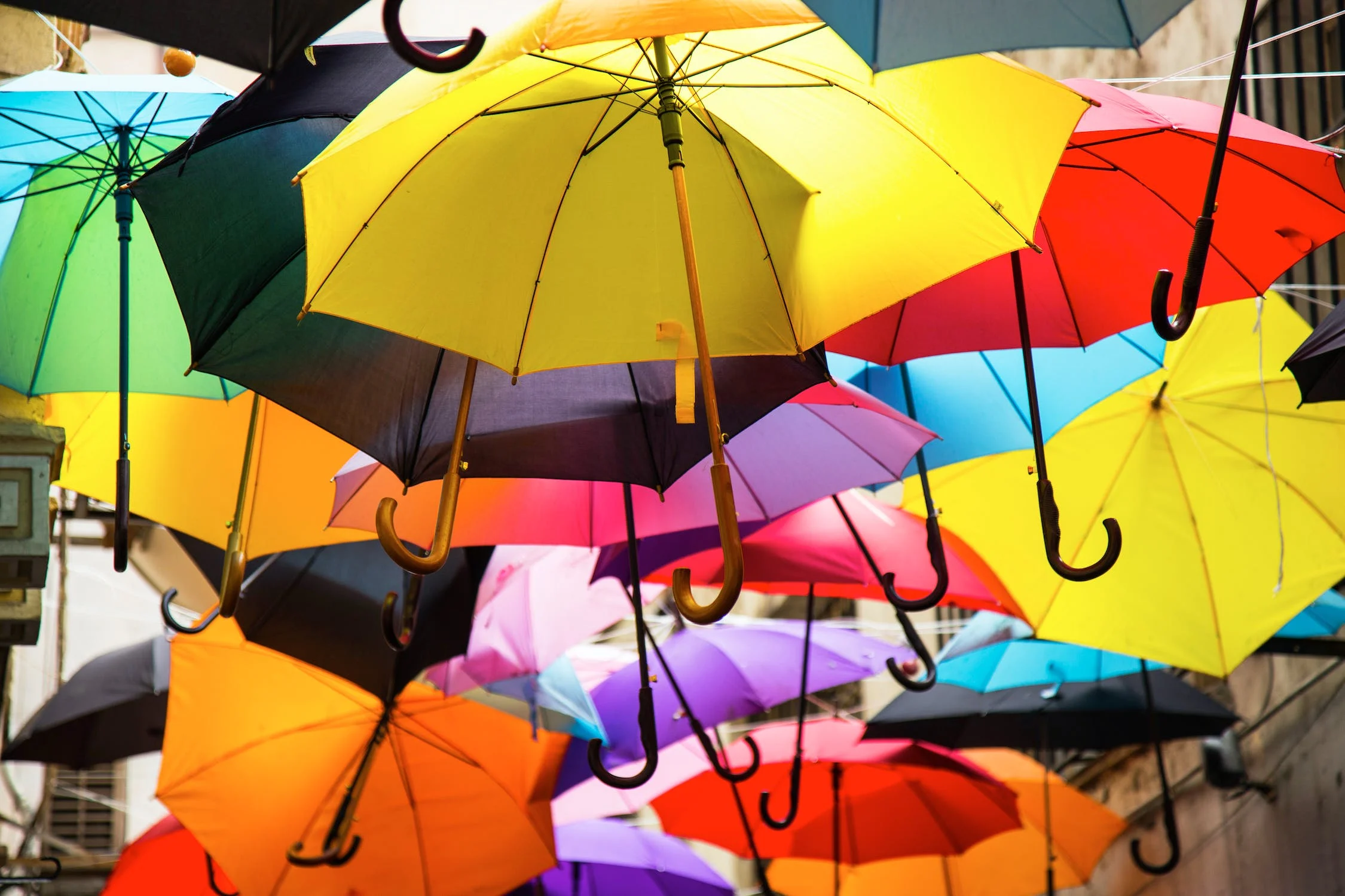 umbrella.webp