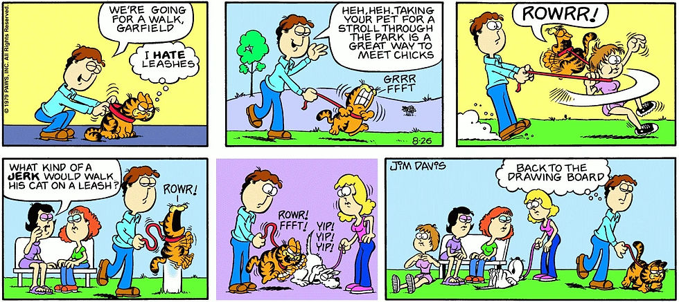 《加菲貓》,一九七九年八月廿六日,週日 Hate Leashes Park Chicks Jerk Cat Dog Fainted Terrified Back Drawing Board 弄巧成拙 反