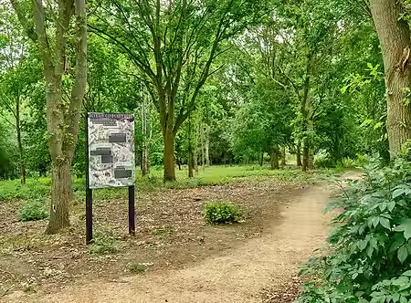 Woodton Community Wood