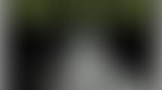 Next Of Kin by Sue Welfare