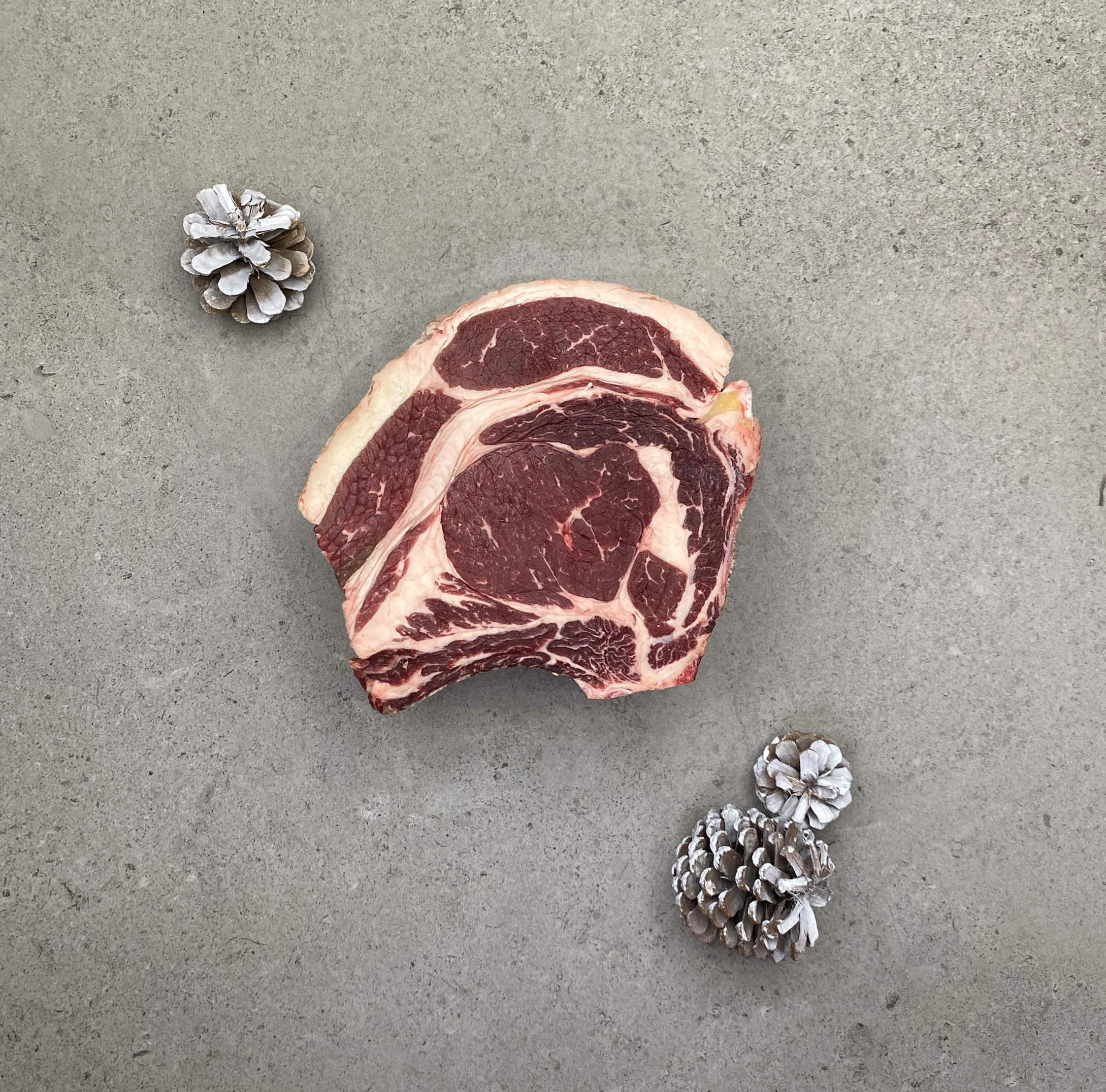 Salt Aged Beef Rib on the Bone