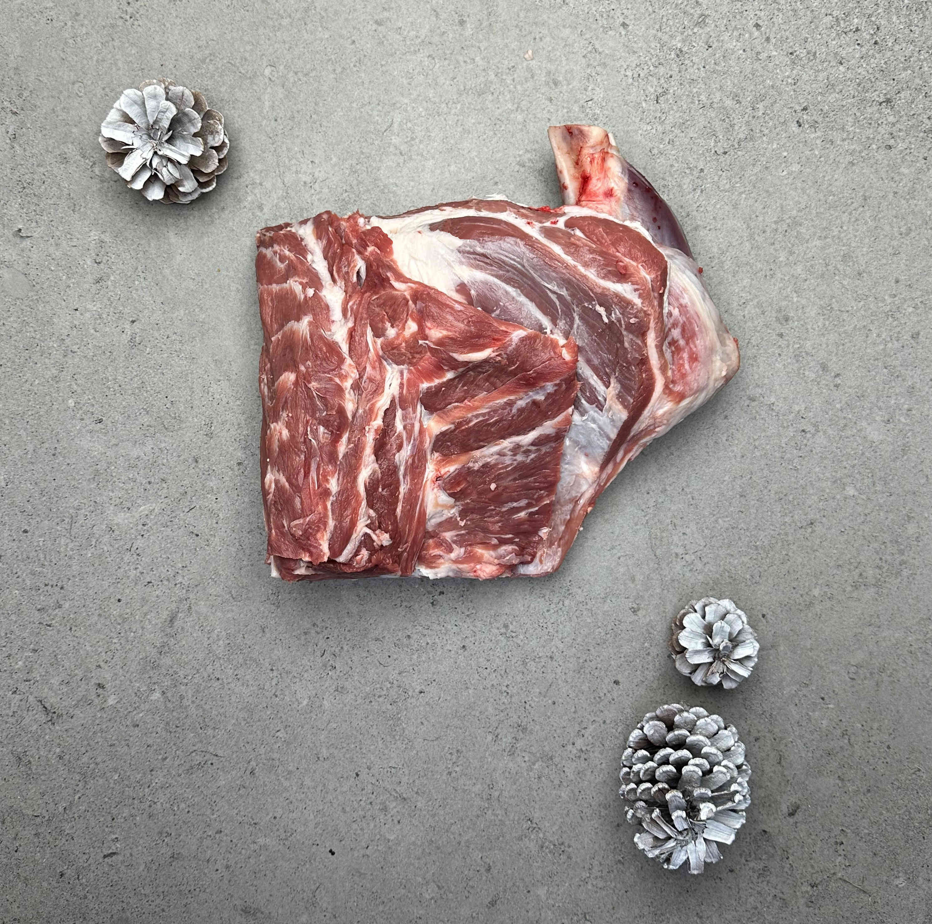 Lamb Shoulder Bone in Joints