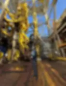 Rolando Tovar, Managing Director