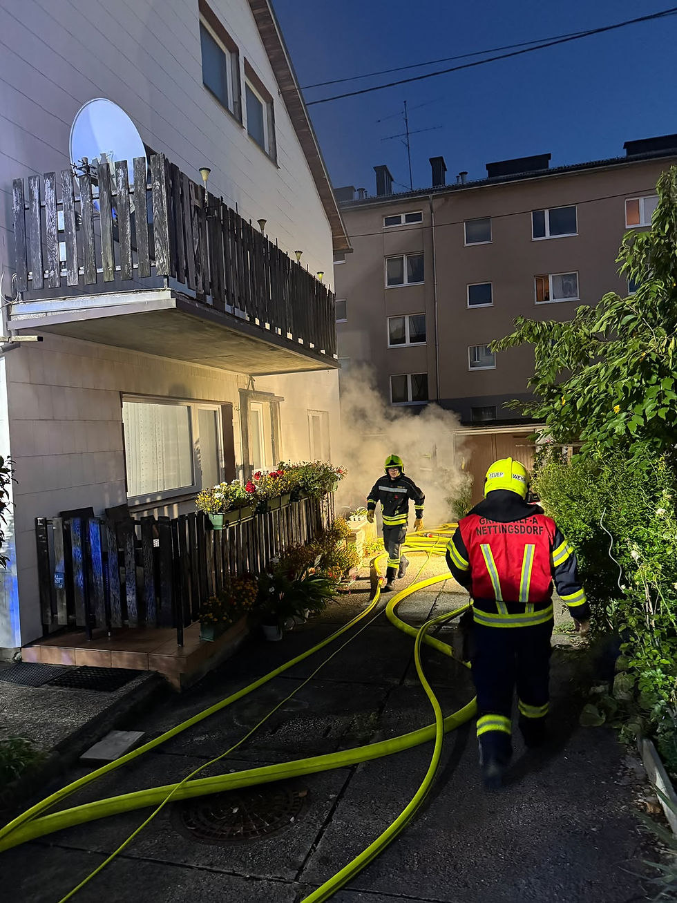 Kellerbrand in Haid - 2 Katzen gerettet