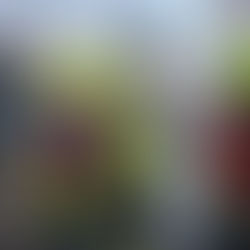 Einsatzübung: Brand Wohngebäude