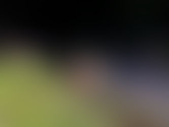 Umgestürzter Baum auf Straße in Ansfelden