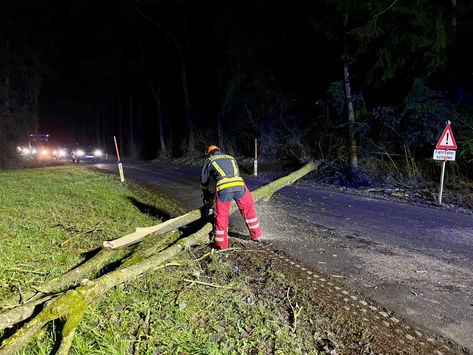 Umgestürzter Baum auf Straße in Ansfelden