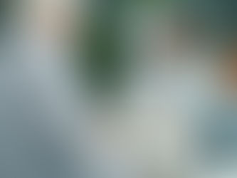 Building Public Trust in Vaccination through On-Demand Services