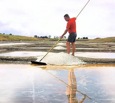 Salines de Millac.png