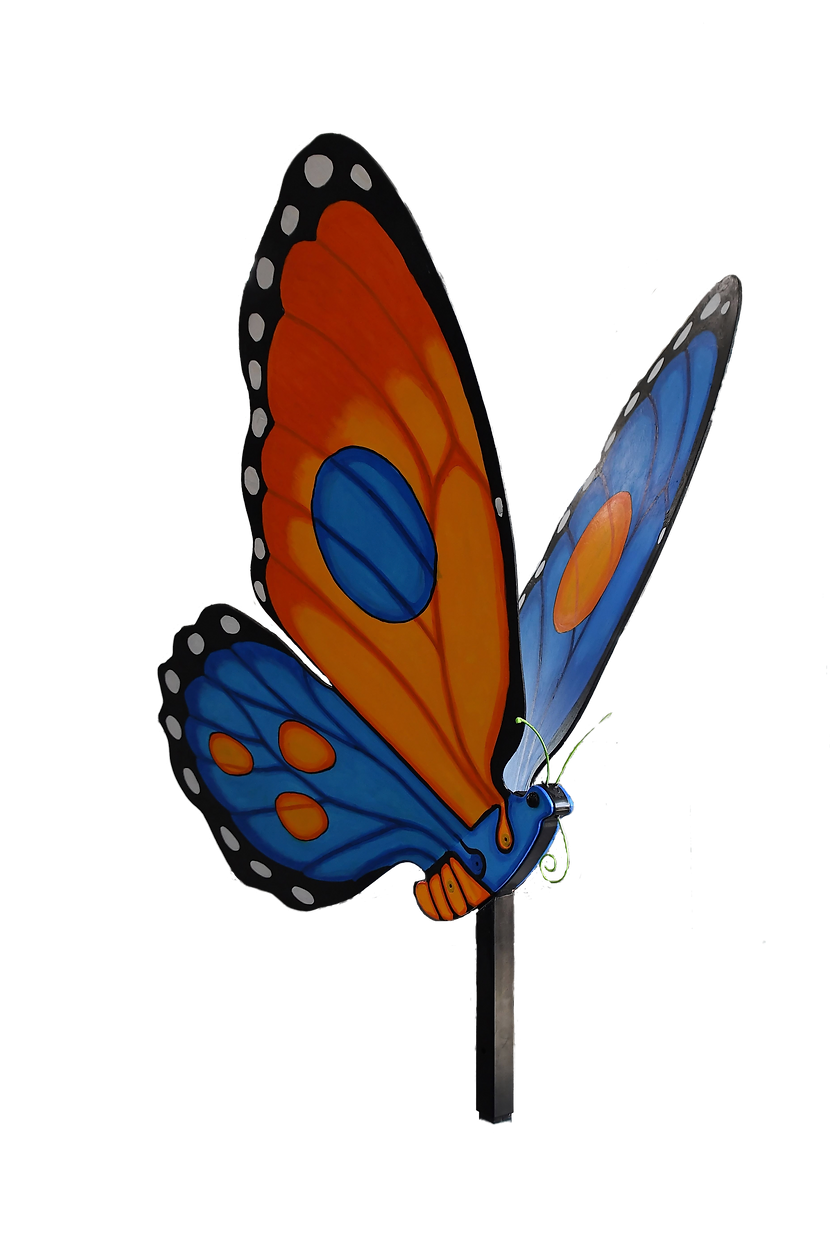DSC_4575a.png