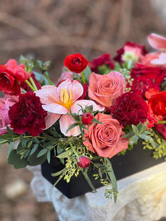 WhatsApp Image 2023-01-03 at 4.54.17 PM.jpeg