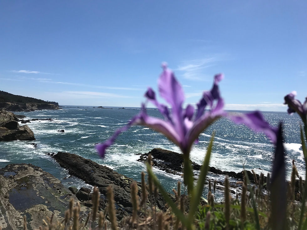 Factory Authorized Installation of Name Brand Windows Starting At $500