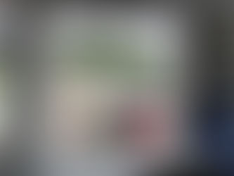 Quality Without the Corporate Markup: Get Superior Windows at Fair Prices