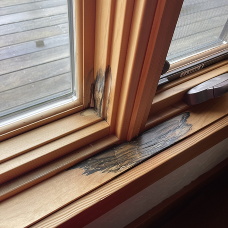 The Obvious Coastal Risks Every Vacation Homeowner Should Prepare For