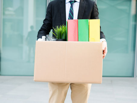 You’ve Lost Your Job, Now What?