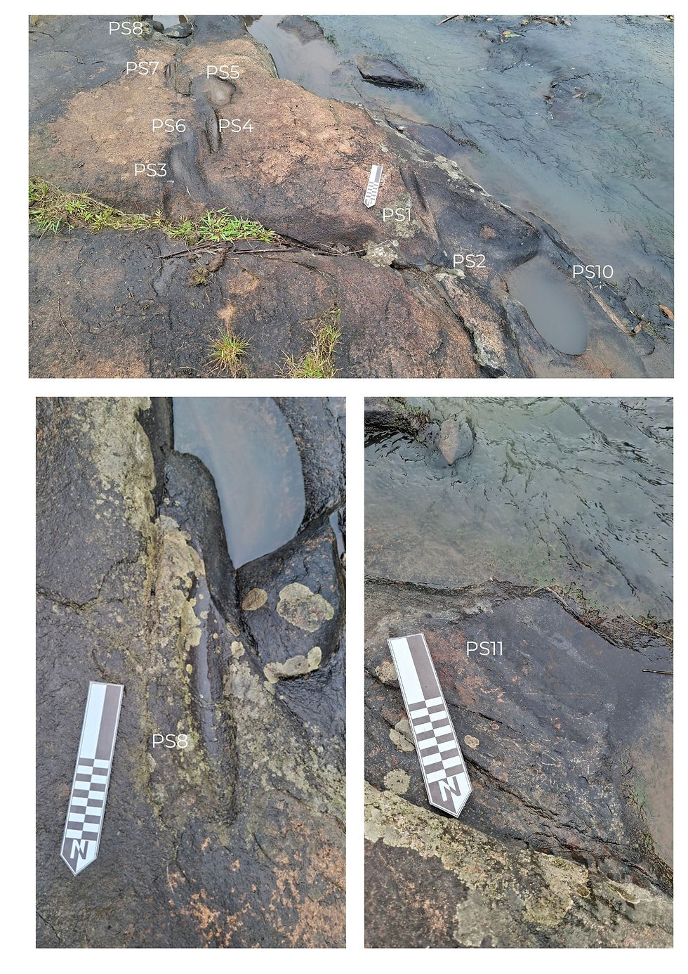 Exemplos das feições abrasivas identificadas na Área 1, subárea 1, com algumas delas com o estado de conservação comprometidos devido a fatores naturais (ações bióticas ou pela própria ação fluvial).