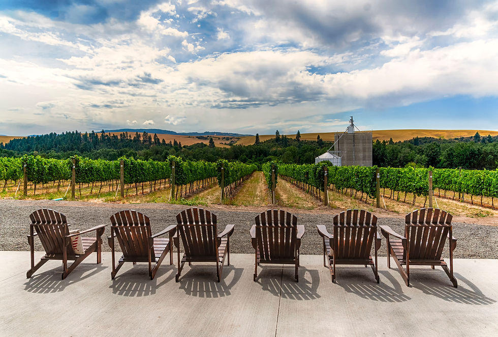 High Res Deck Chair photo at winery.jpg