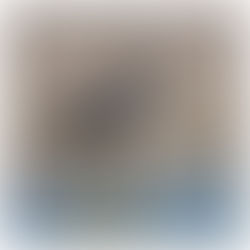 28.07.2022 Etosha - Gamedrive